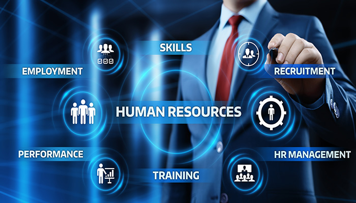 Illustration of human resources concepts like recruitment, training, and skills.