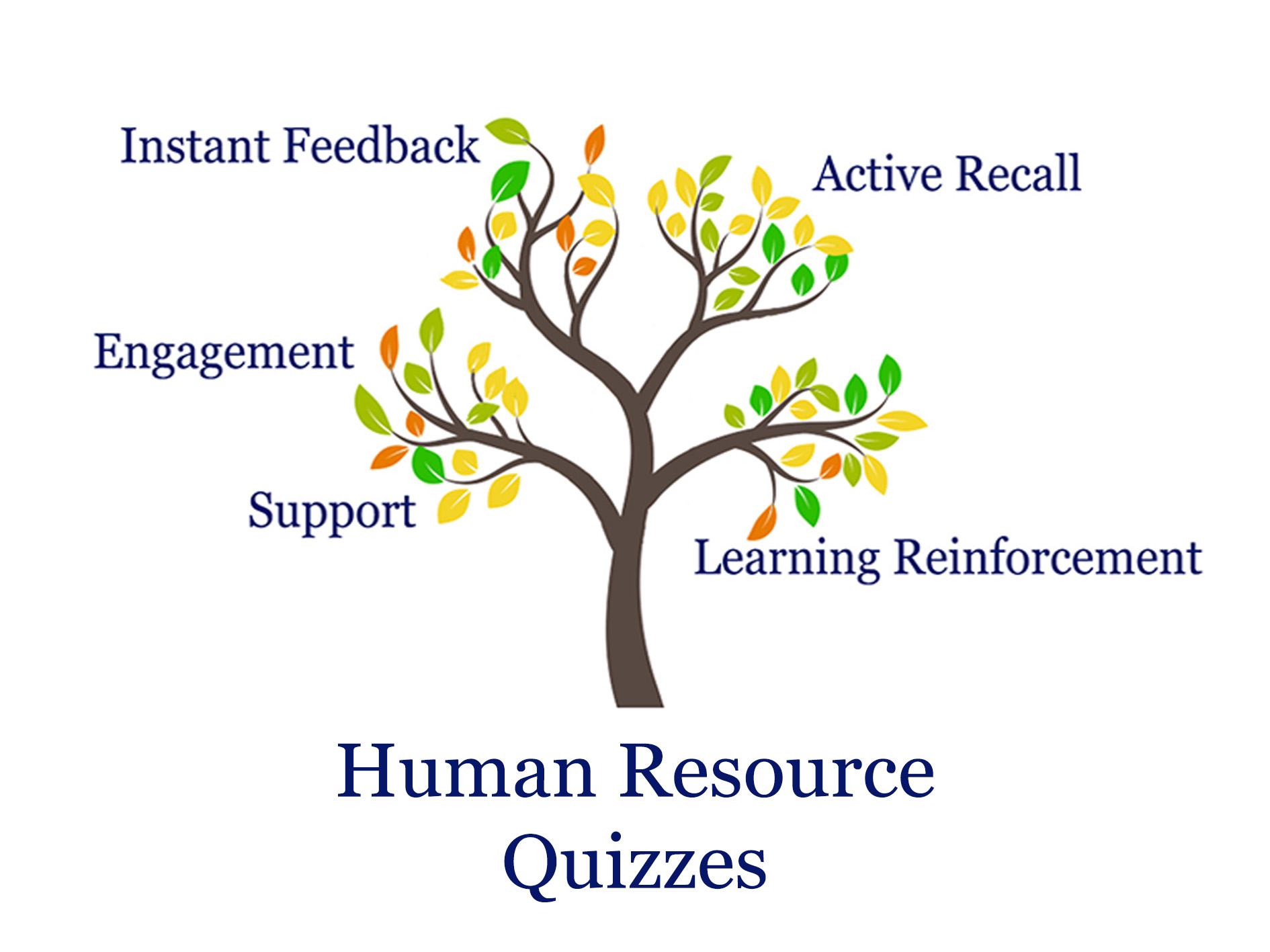 Tree illustration highlighting HR quiz benefits like feedback, support, engagement, and learning reinforcement.